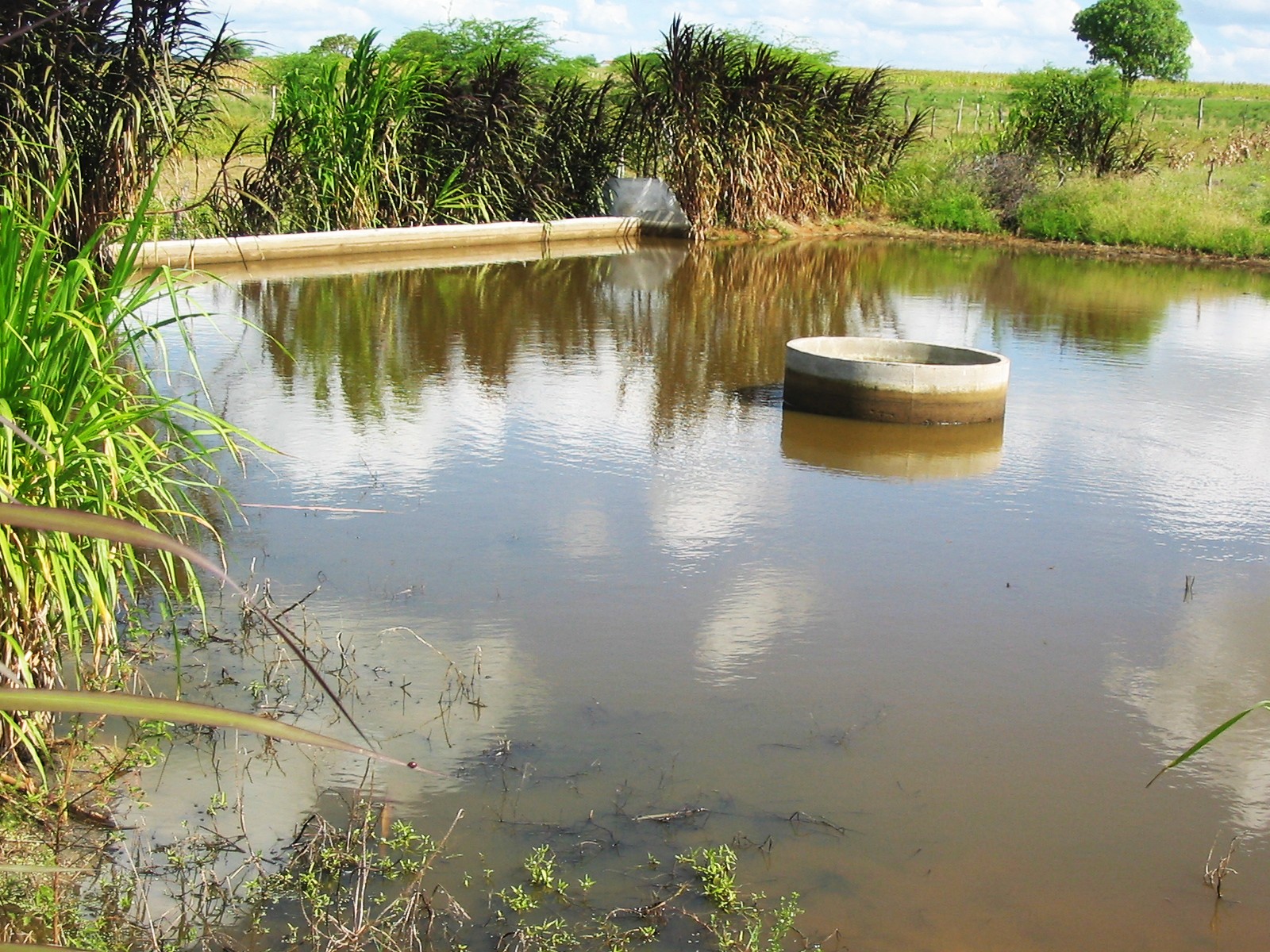 Barragens subterrâneas geram renda excedente de mais de R$7 mil anuais a agricultores
