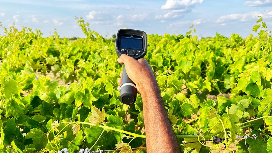 Ações para reduzir os efeitos de calor nas plantas