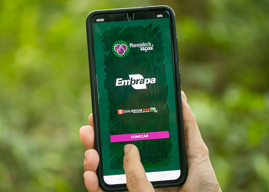 Nova solução digital beneficia o manejo sustentável de açaizais nativos na Amazônia
