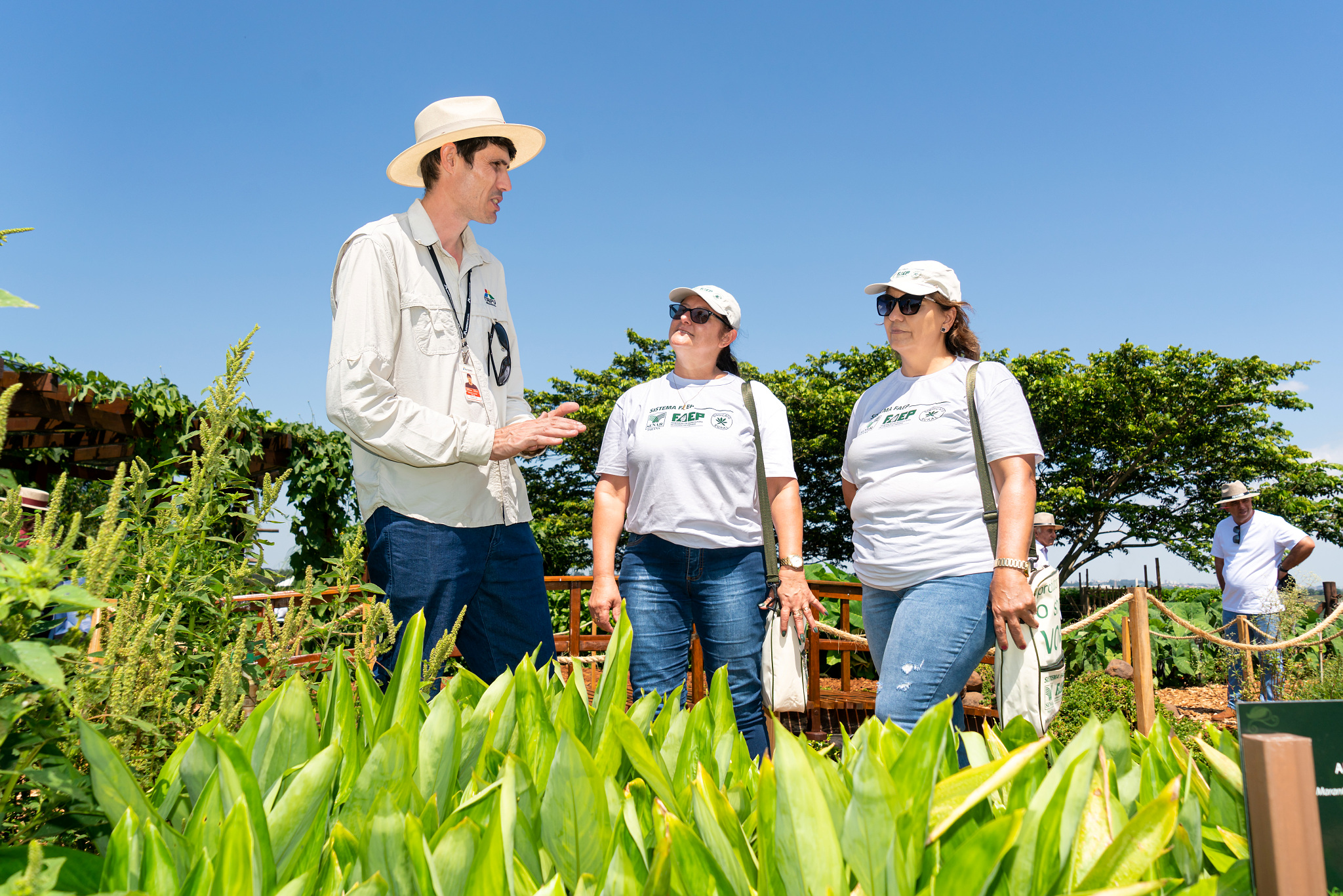 Agricultura familiar brasileira: características, antigos e novos desafios