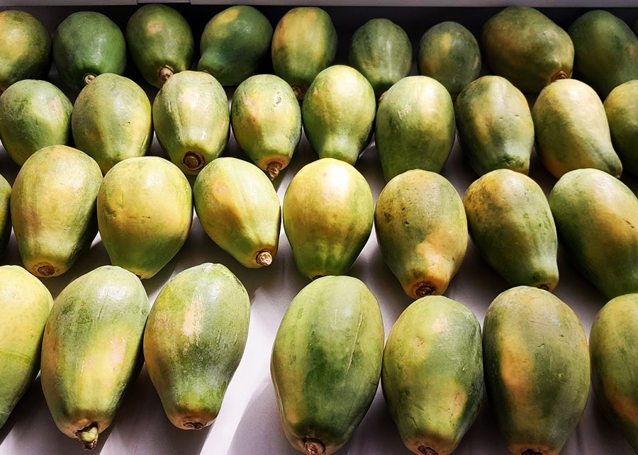 Óleos essenciais superam fungicidas químicos no combate às doenças do mamão e da laranja