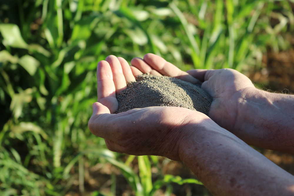 Remineralizadores de Solo: importância para o manejo da fertilidade de solos agrícolas tropicais