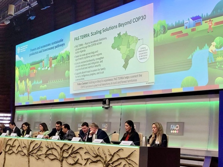 MDA apresenta a Iniciativa Global de Florestas Produtivas na FAO