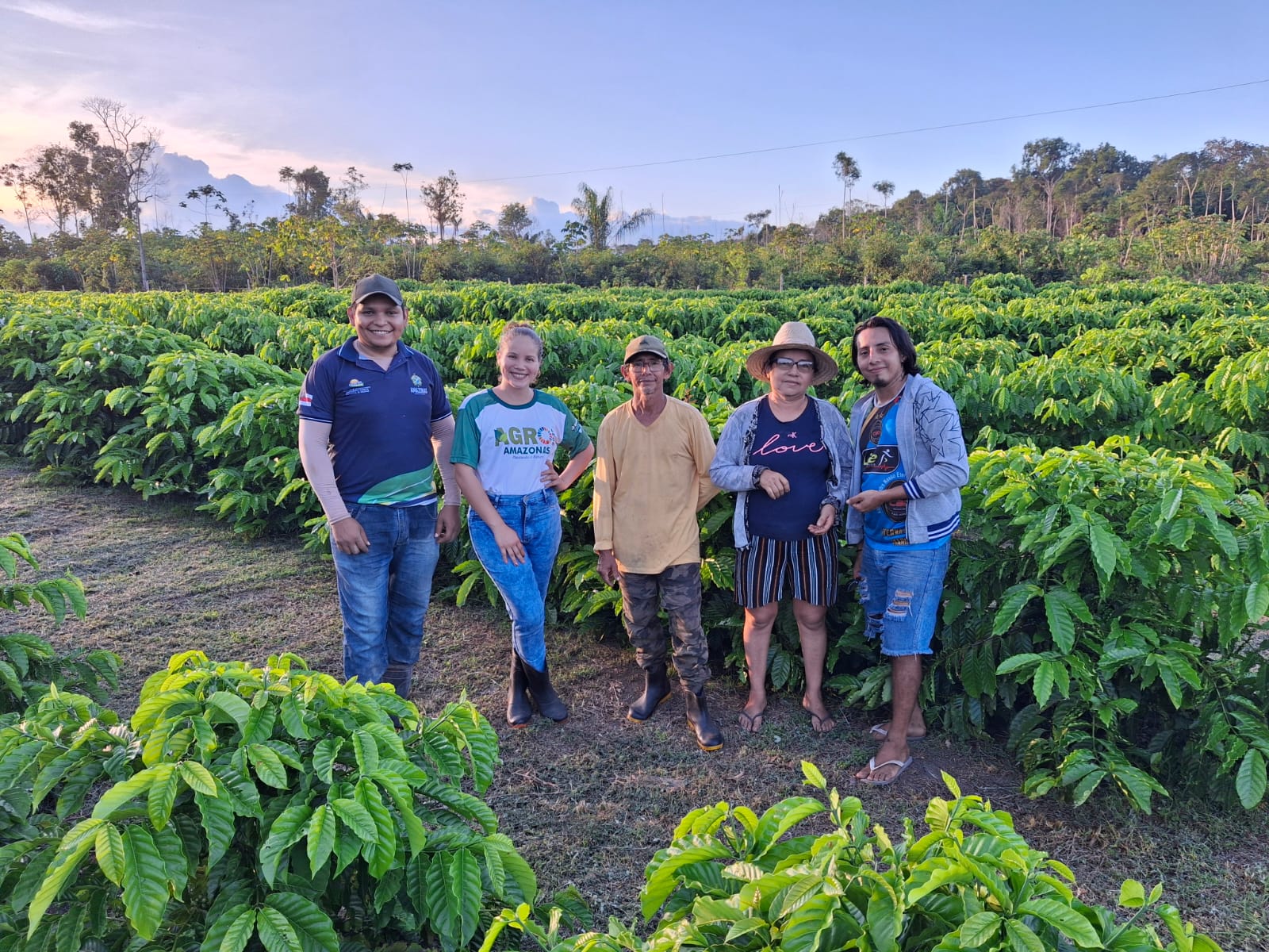 Cresce produção de café sustentável na Amazônia