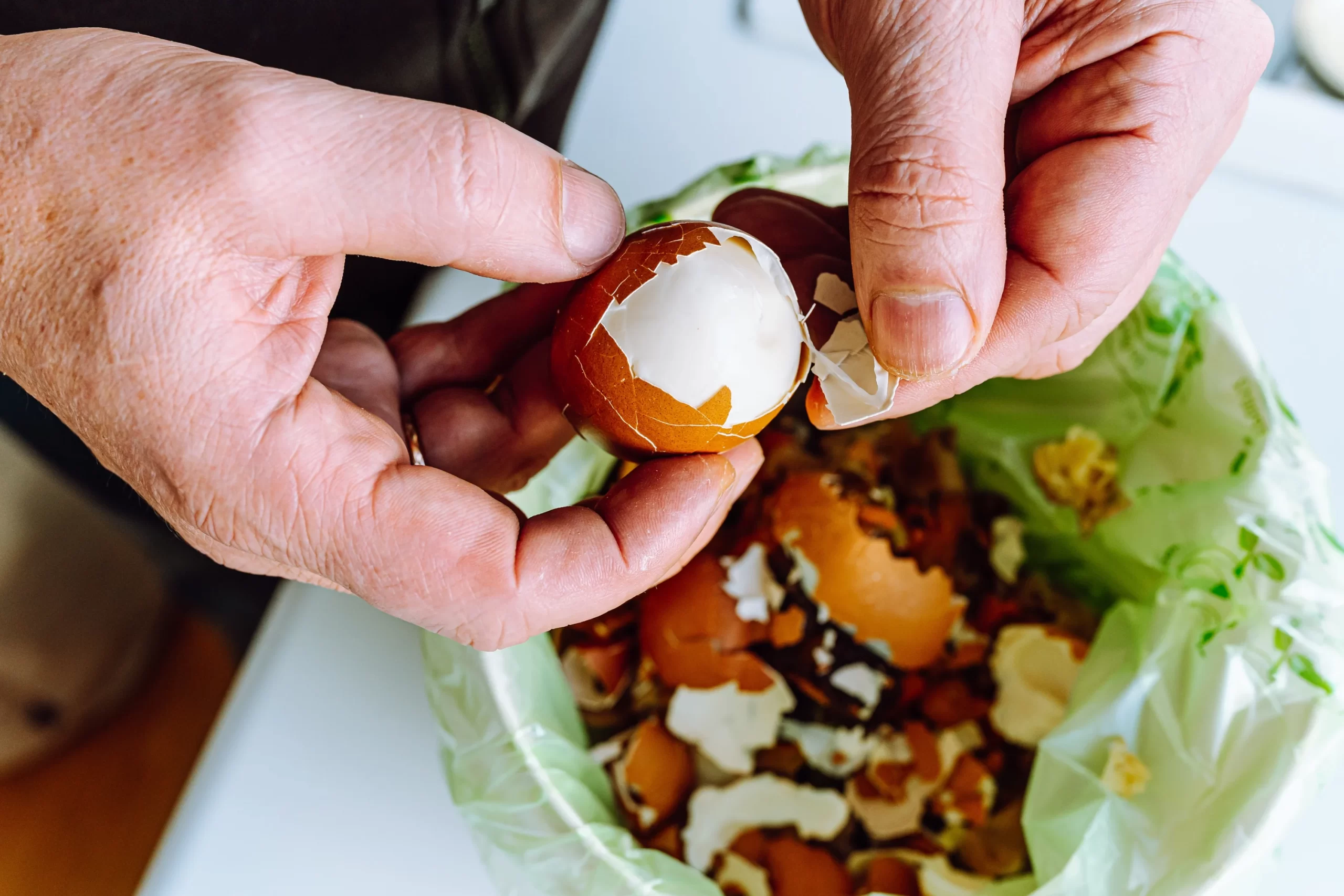 Compostagem: como transformar resíduos em adubo e não desperdiçar nada